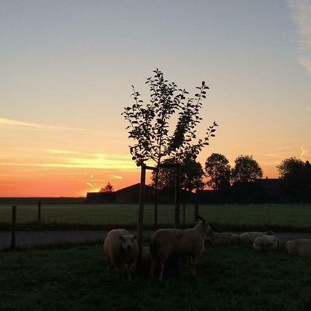 Boerengastenverblijf De Kromme Rijn Cothen Esterno foto