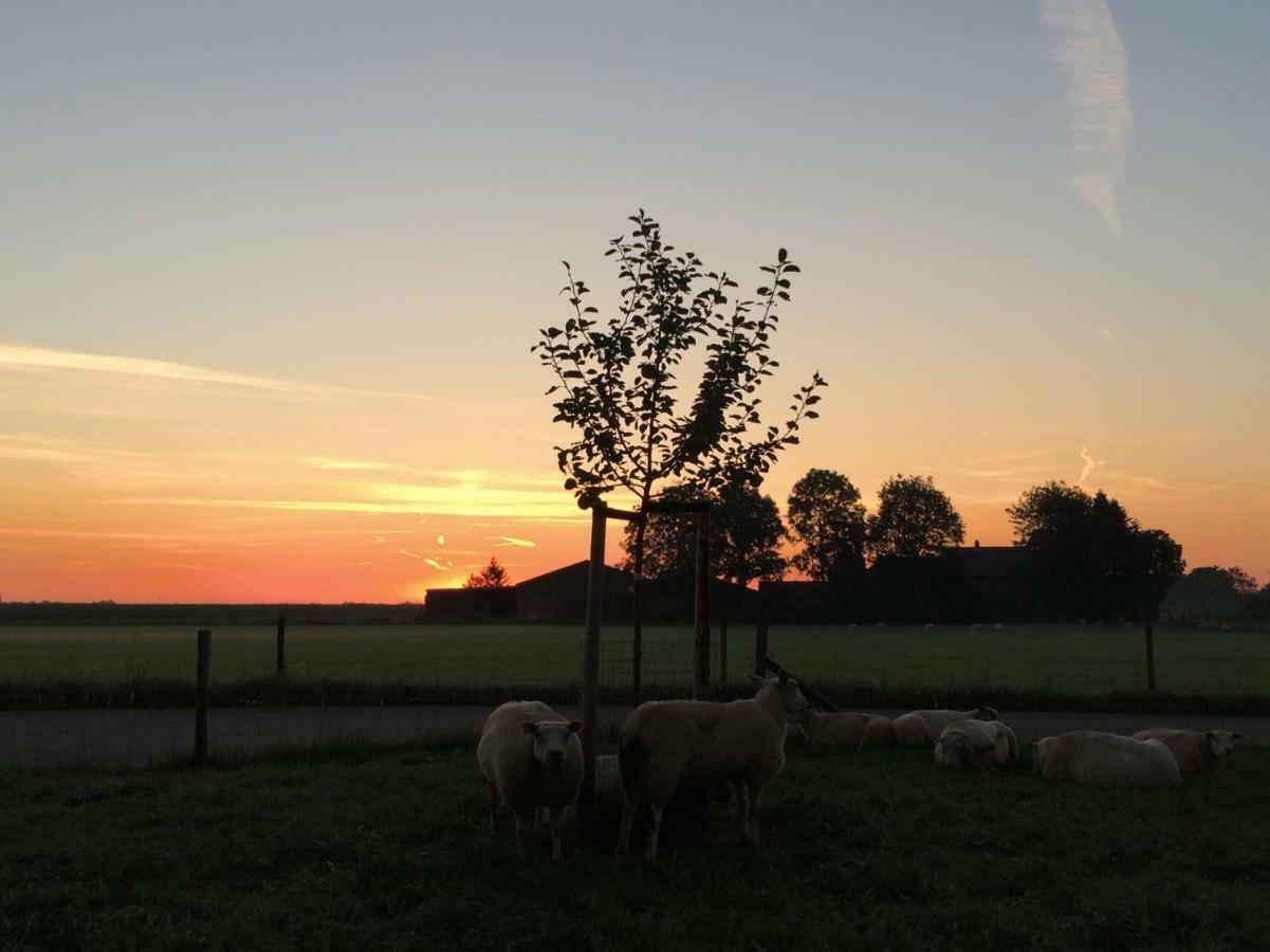 Boerengastenverblijf De Kromme Rijn Cothen Esterno foto