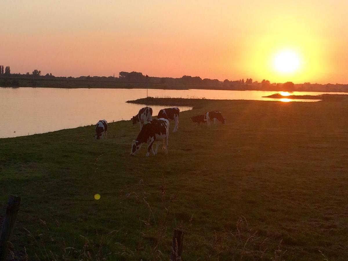 Boerengastenverblijf De Kromme Rijn Cothen Esterno foto