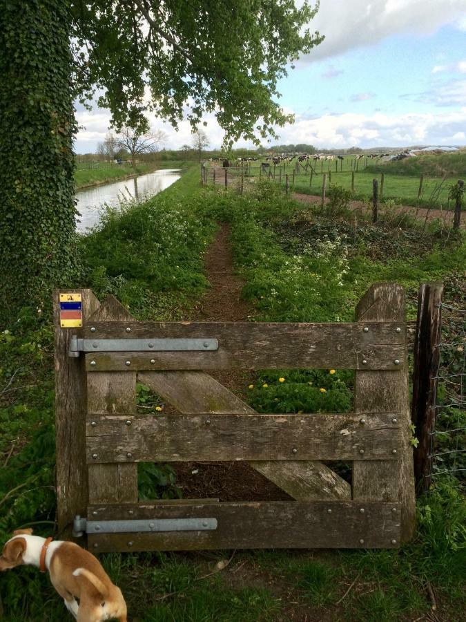 Boerengastenverblijf De Kromme Rijn Cothen Esterno foto