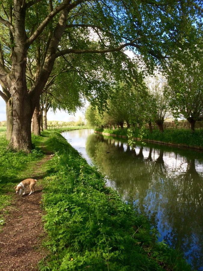 Boerengastenverblijf De Kromme Rijn Cothen Esterno foto